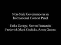 Watch video: Non-state Governance Symposium: International Context Panel: Moderated by Prof. Erika George