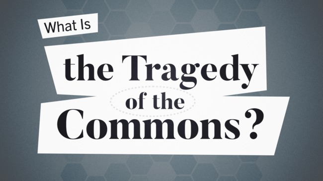the tragedy of the commons answers