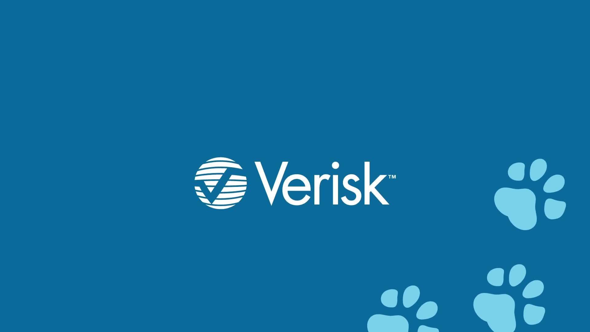 Pet Black Box Automated Assessment Of Pets Pre Existing Conditions Verisk Analytics