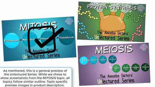 Amoeba Sisters Unlectured Series BIOMOLECULES by Amoeba