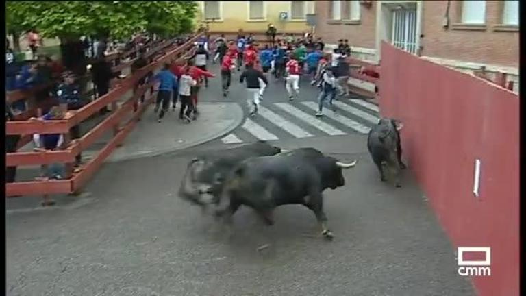 Toros