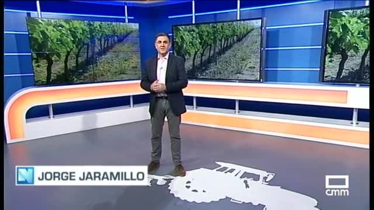 El Campo | El nuevo plan de ayudas al vino, en consulta pública