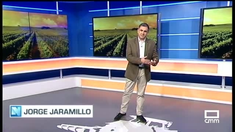 El Campo | Piden que la ley proteja el valor de la uva y el vino
