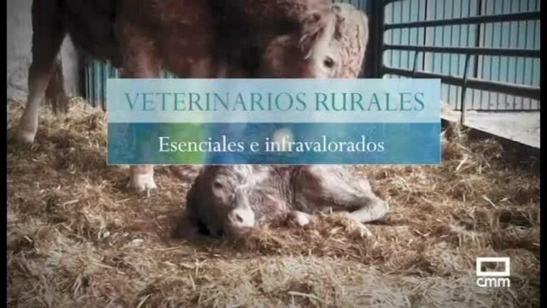 Veterinarios rurales, esenciales e infravalorados
