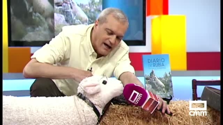 Diario de rubia: la oveja reportera