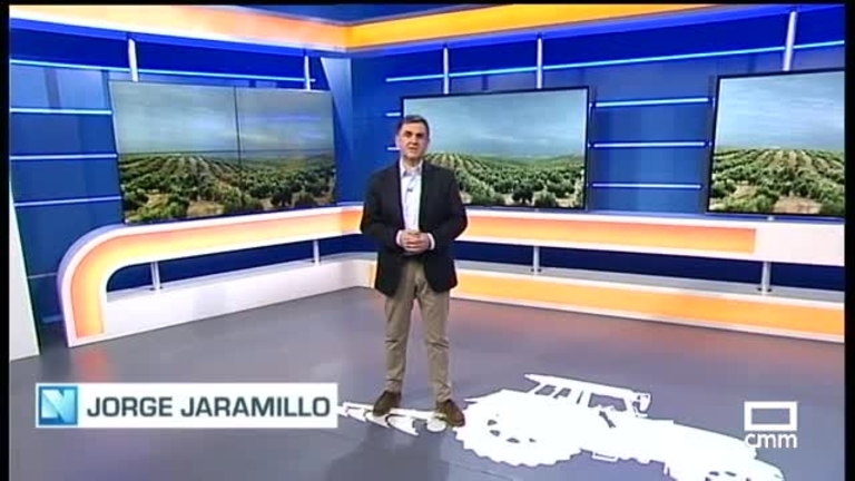 El Campo | ASOLIVA achaca al precio la caída de las exportaciones