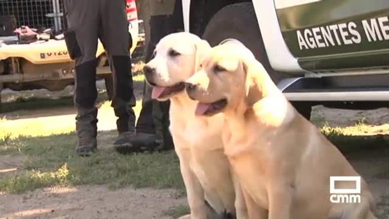 Toledo estrena su unidad canina especializada en la detección de veneno en el medio natural