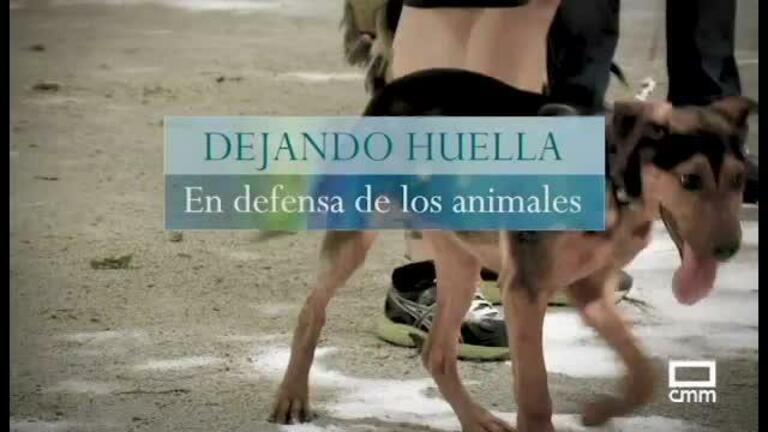 Dejando Huella: en defensa de los animales