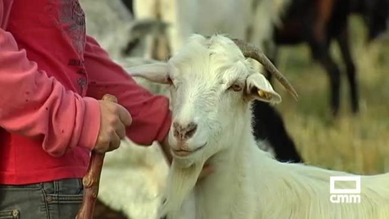 WWF recomienda el pastoreo para prevenir el \\